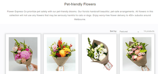 Pet-Friendly Flowers for A Pet-Loving Home