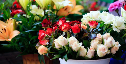 Shopping Tips: How to Buy Fresh Flowers at a Store
