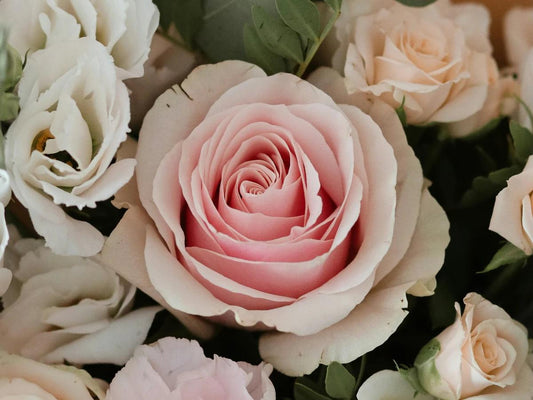 Experience the Charm of Flowers Express Co Bouquets