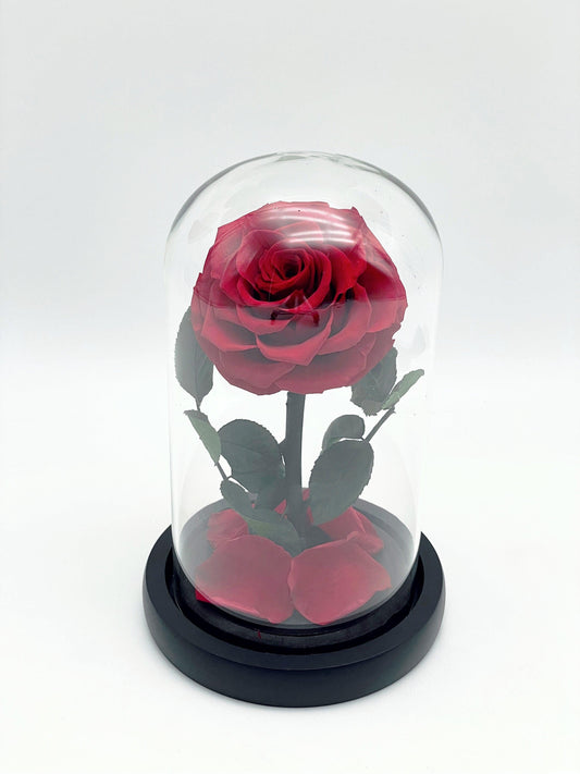 Everlasting Rose Dome - Preserved Flowers Melbourne