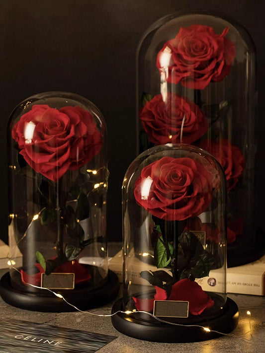 Stunning display of rose in glass dome showcasing elegance and lasting beauty.
