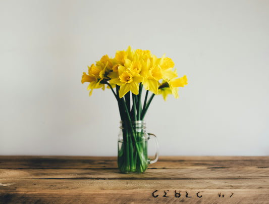 The Alluring Yellow Flower Meaning in Nature's Palette