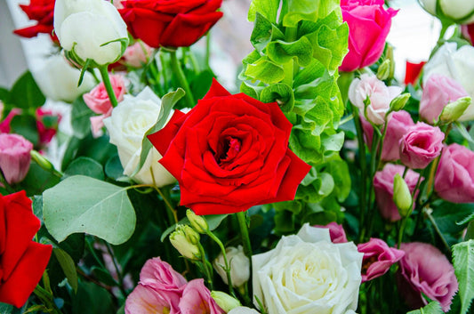Instant Flower Delivery for Christmas: Surprise with Same-Day Blooms in Melbourne