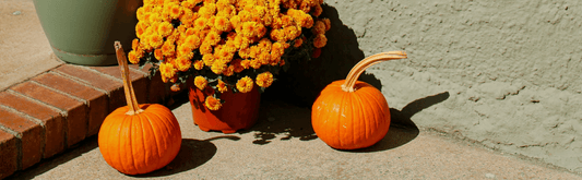 Halloween Luxury Preserved Flower Melbourne