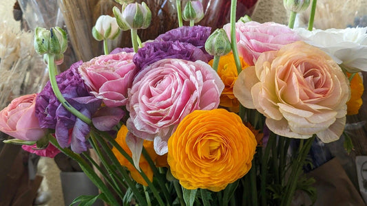 Same Day Flower Delivery in Coburg
