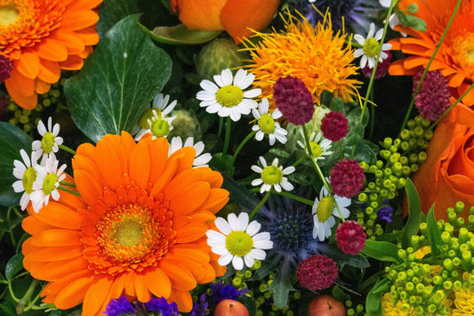 Florist Pascoe Vale: Vibrant Arrangements for Every Occasion
