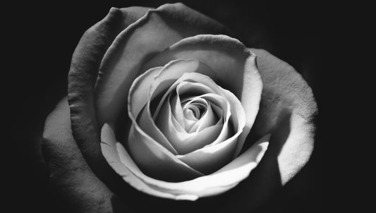 what flowers are appropriate for a funeral selection