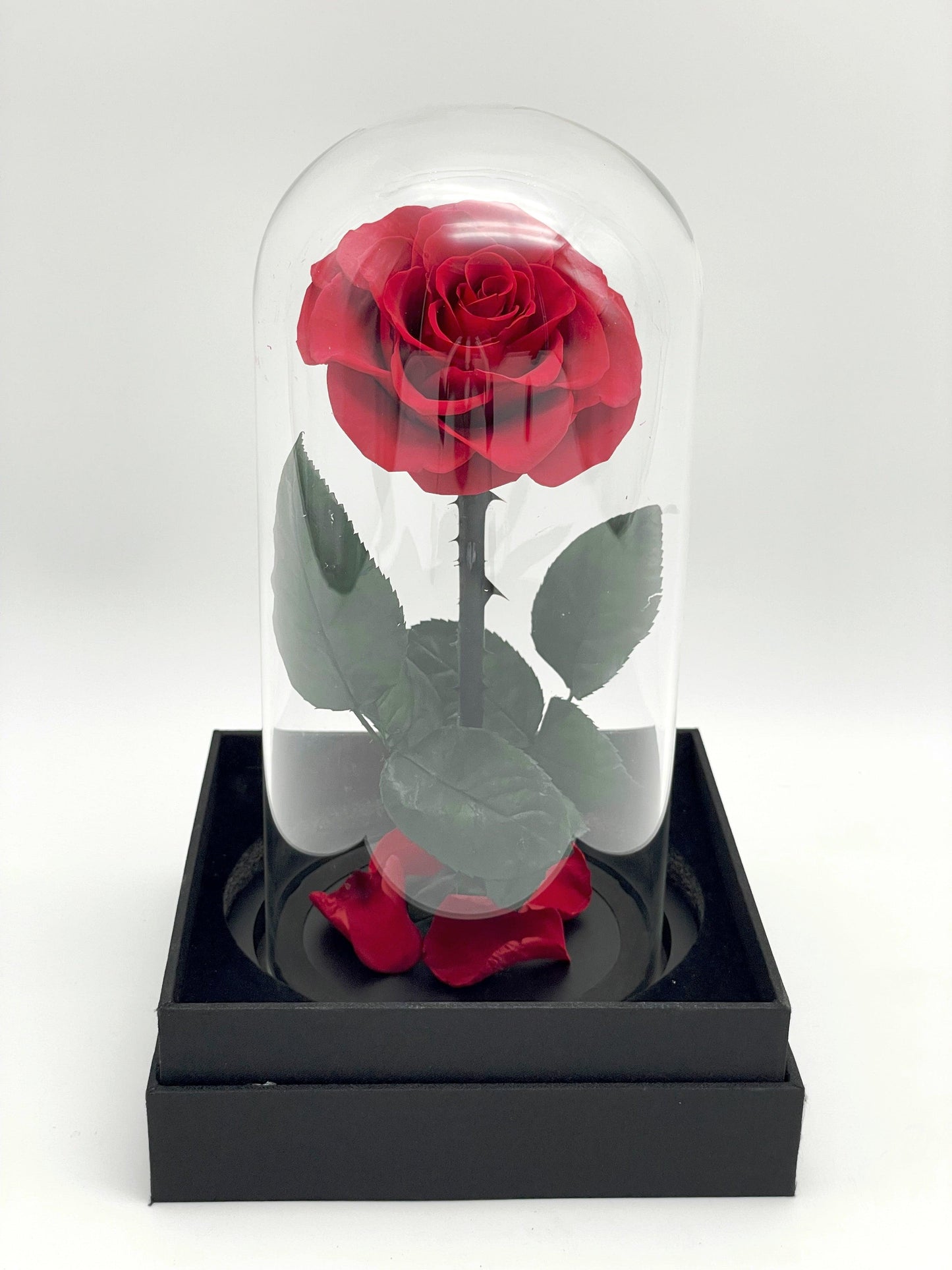 Flower Delivery Melbourne -Same Day Delivery Online Melbourne Florist -Everlasting Rose Dome-Small- Flowers Express CO
