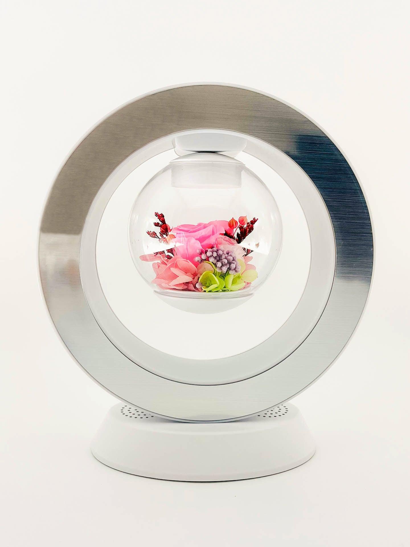 Preserved Flower In A Bowl, Power Off Mode. Same Day Delivery In Melbourne.