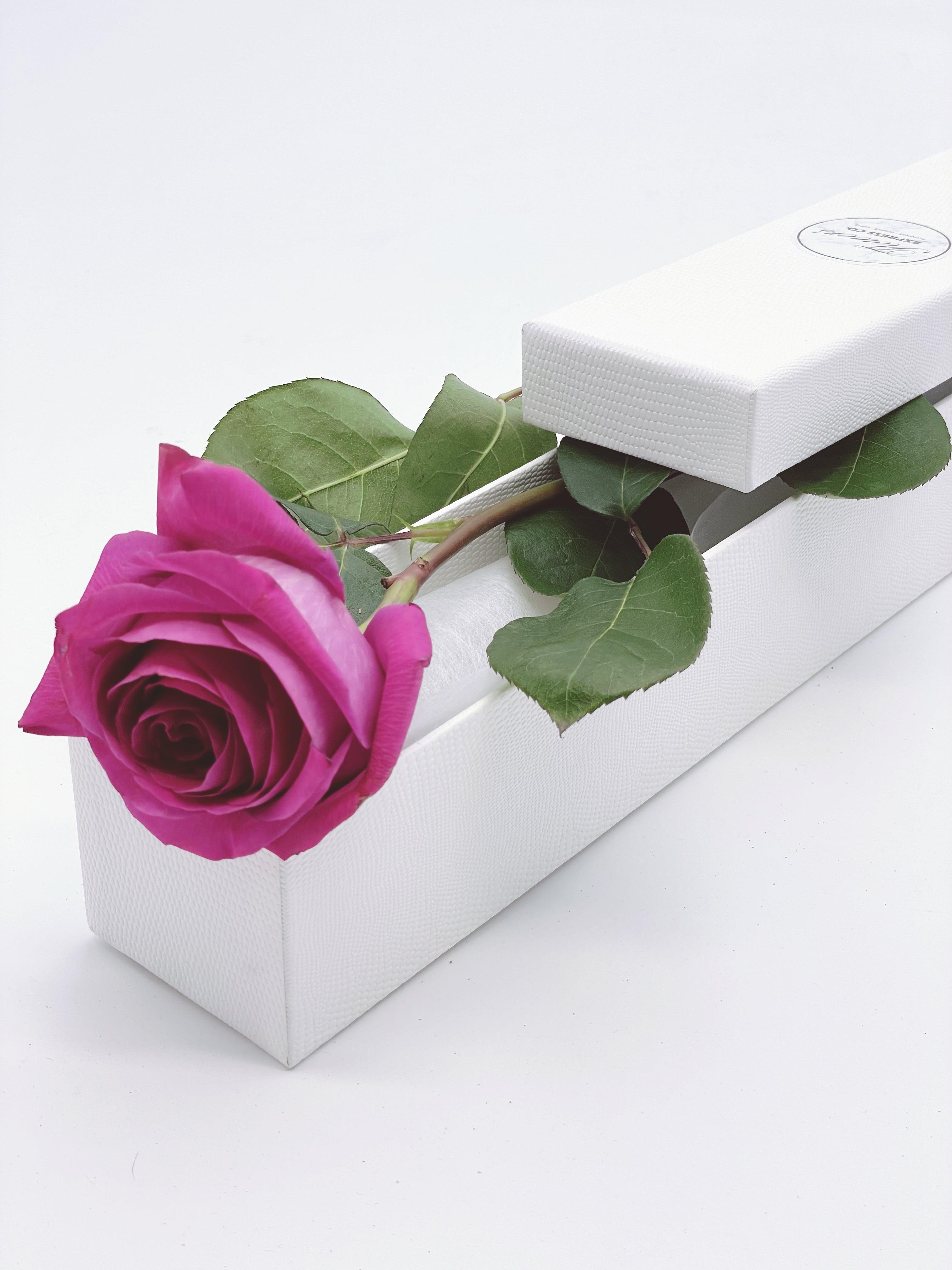 How to Paint Creative Roses: A Simple Guide