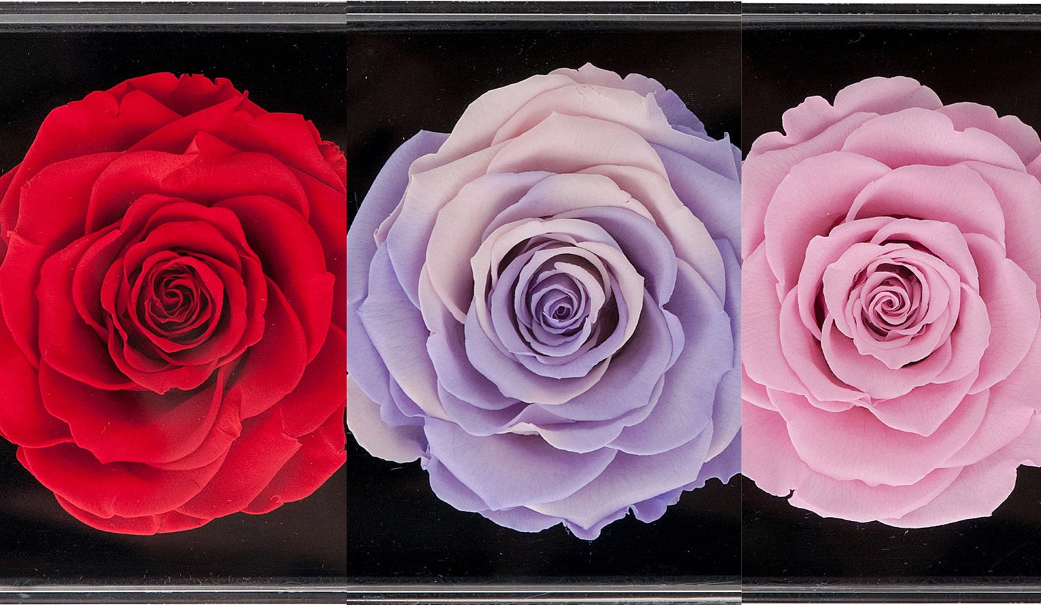 Beautiful Blooms Sunday Flower Delivery Melbourne Options
