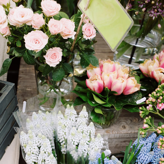 Meaningful Get Well Soon Flowers to Show You Care