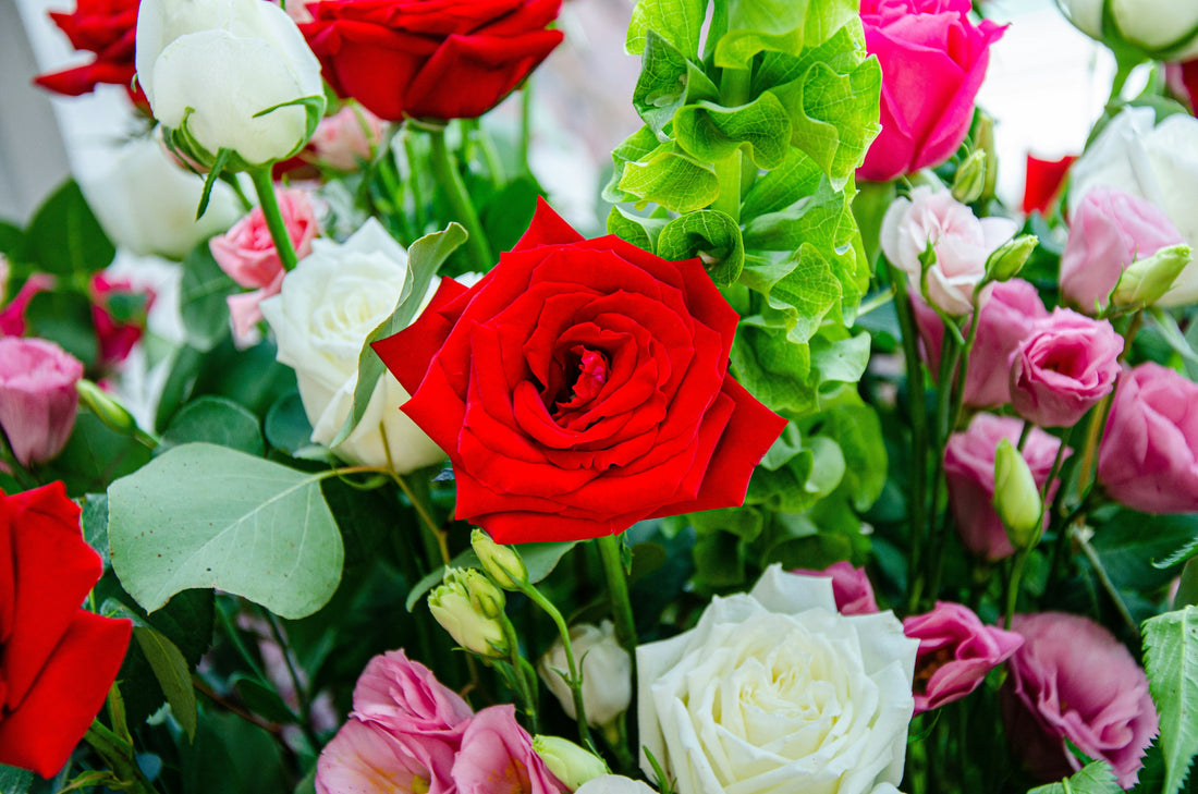 Affordable Red Roses Delivery Melbourne: Top Choices