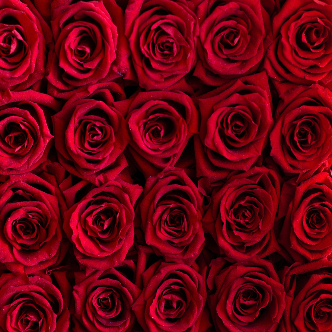Thoughtful Luxury Gift Ideas for Special Celebrations