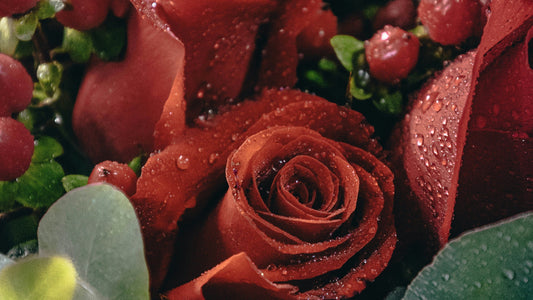 Which Rose Is Best for an Anniversary Gift