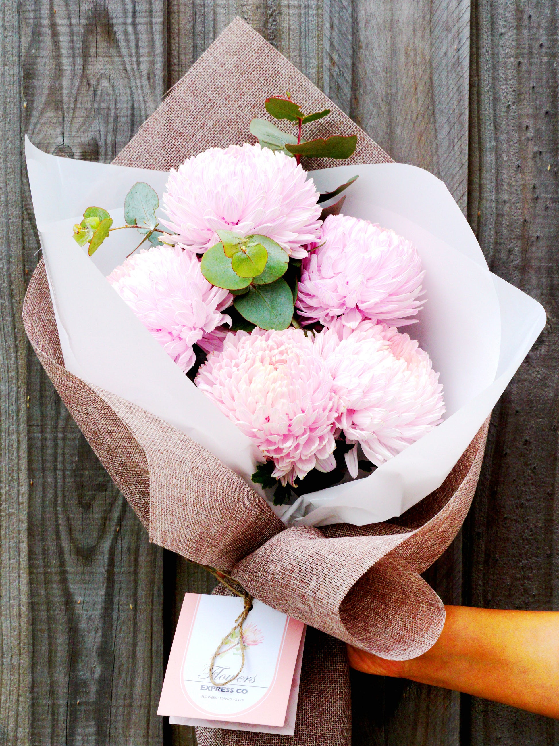 Flower Delivery Melbourne -Same Day Delivery Online Melbourne Florist  -Disbud Mum Bouquet-pink- Flowers Express CO