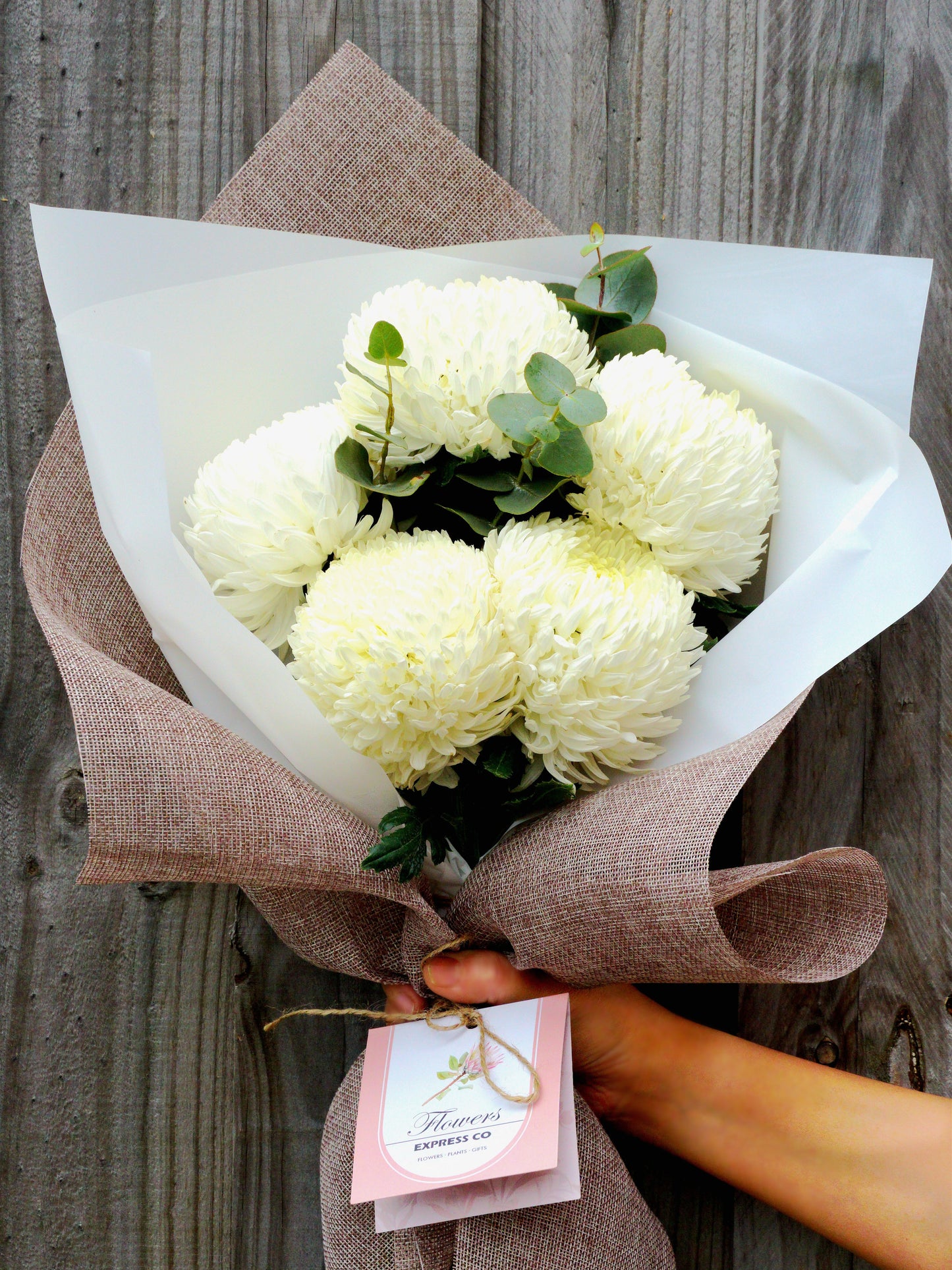 Flower Delivery Melbourne -Same Day Delivery Online Melbourne Florist  -Disbud Mum Bouquett-White- Flowers Express CO