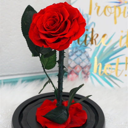 Everlasting Rose Dome