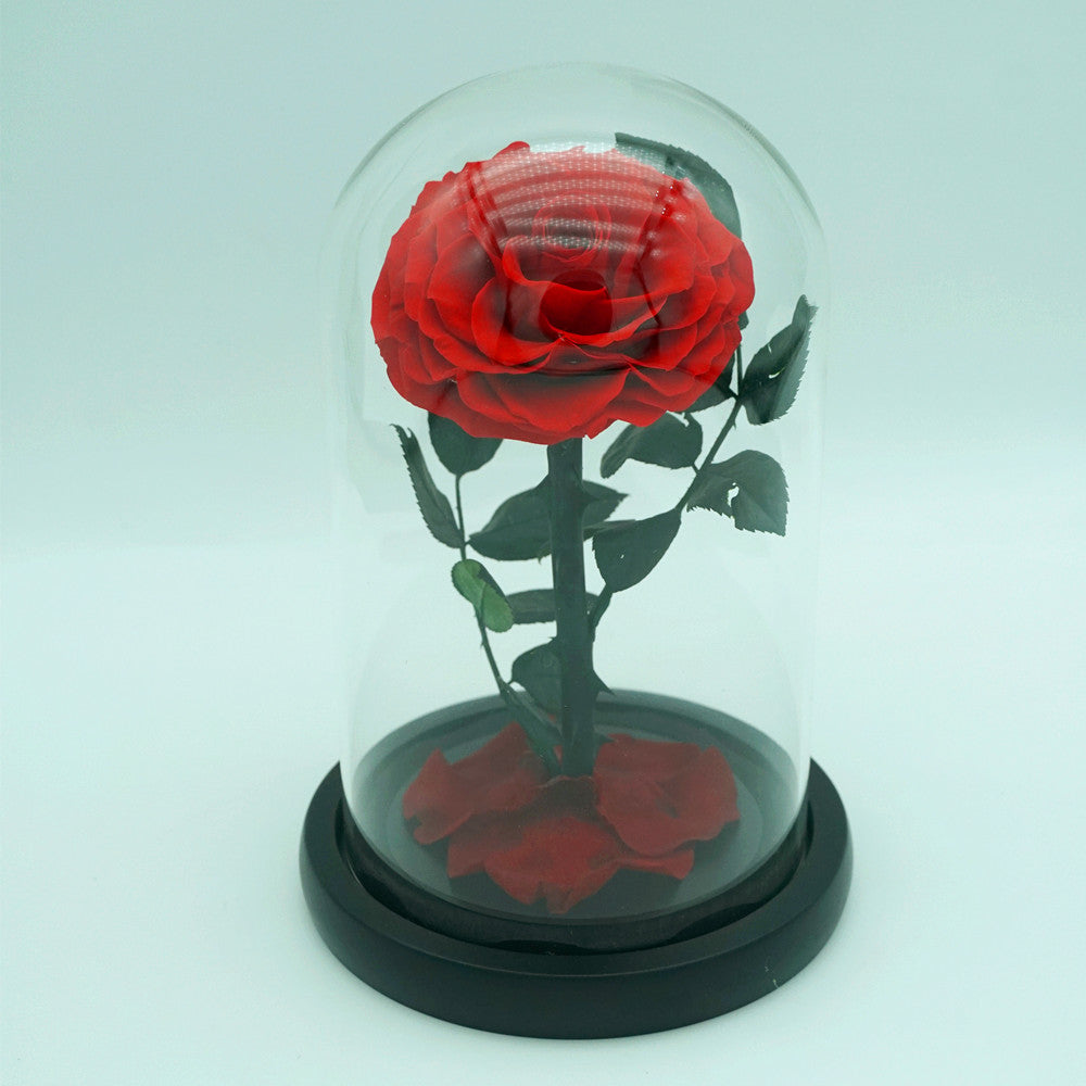 Everlasting Rose Dome