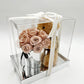 Everlasting Cappuccino Roses & Bear with Free Display Box