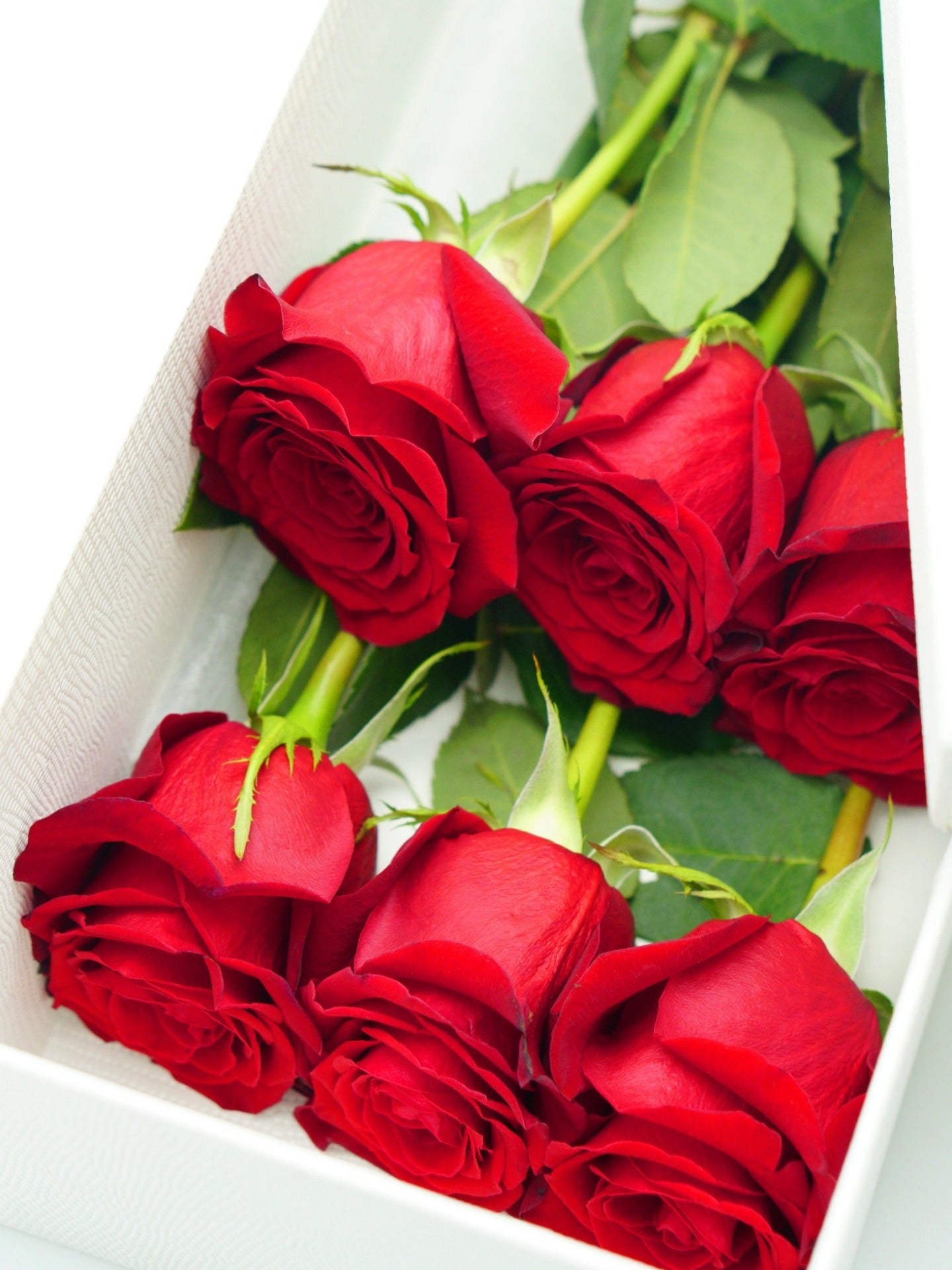 A close-up view of six red roses Flower Delivery Melbourne -Same Day Delivery Online Melbourne Florist  -Long Stemmed Rose-6 Stems- Flowers Express CO