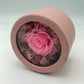 A photo of a beautiful pink rose preserved in a round pink gift box. The rose is complemented by small, dried brown flowers, creating a charming and timeless gift perfect for any occasion.