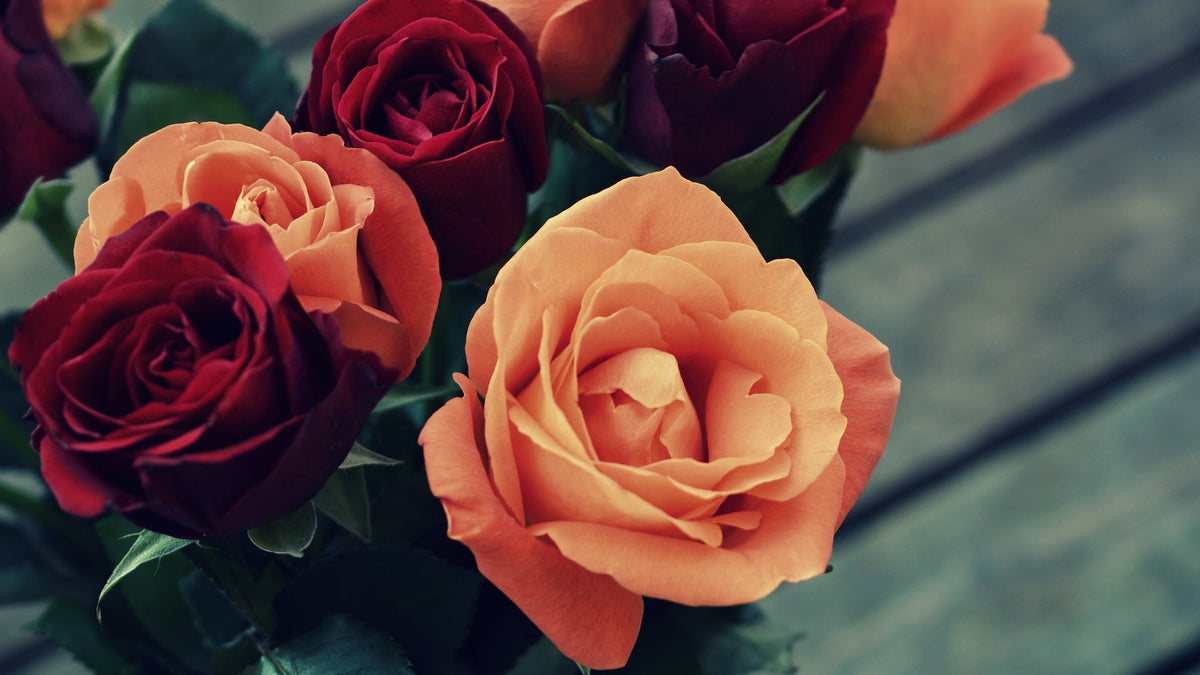 Florist Blog & Flower Care Tips - Flower Express Co
